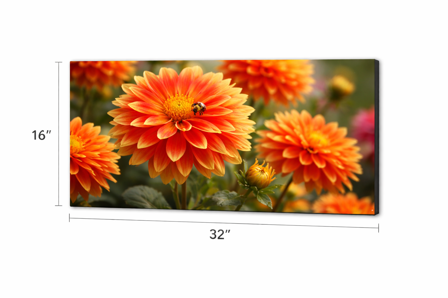 iLumipiX™ HD Photo Panel 16 x 32 White Gloss - Joto Imaging Supplies Canada