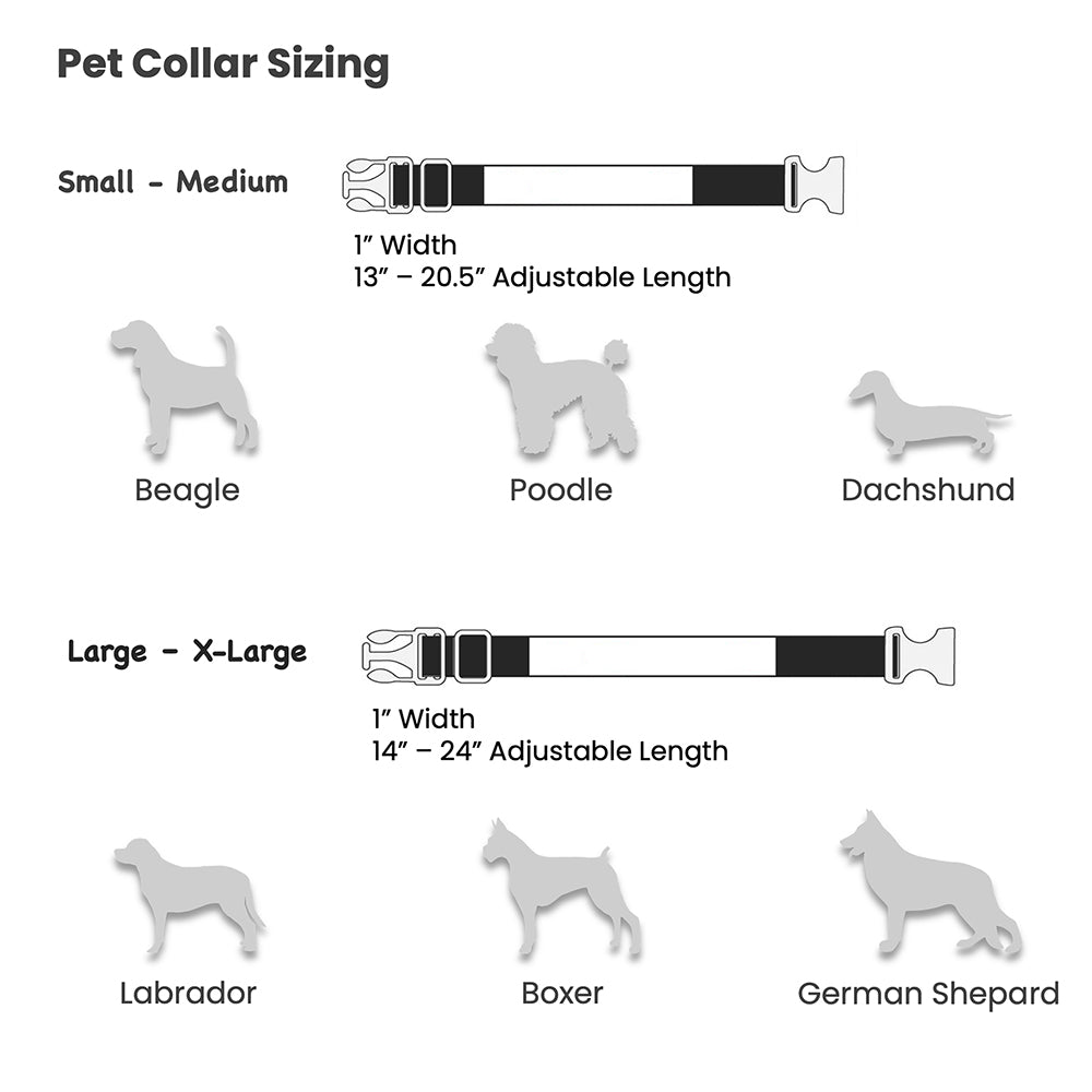 Craft Express 4 Pack Large to Extra Large Pet Collars - Craft Express Canada