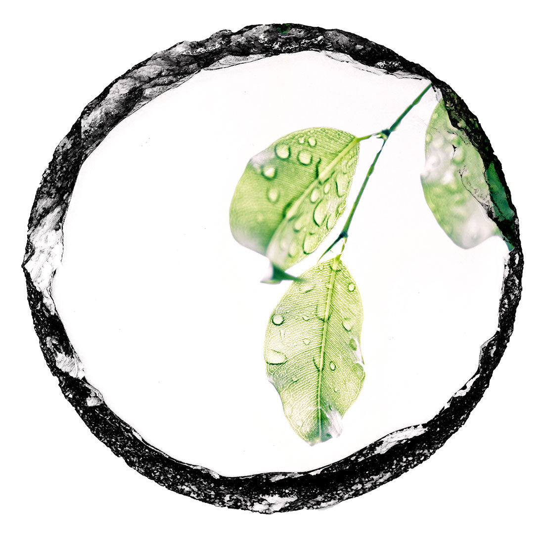 Pearl Coating™ Sublimation Slate Mug Coaster - Pack of 10 - Joto Imaging Supplies Canada