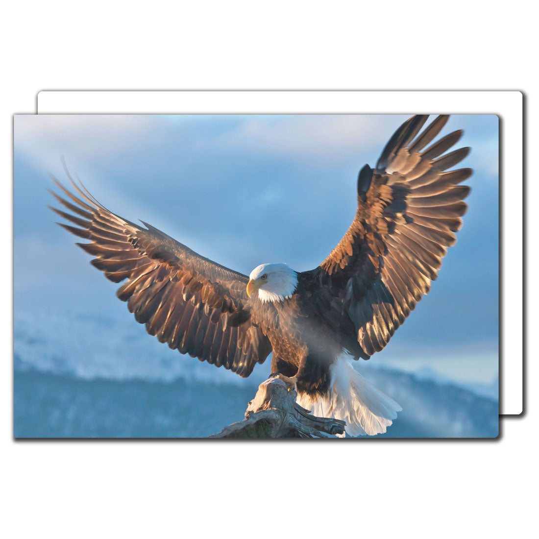 iLumipiX™ Sublimation HD Photo Panels - 20" x  30" - Pack of 10 - Joto Imaging Supplies Canada