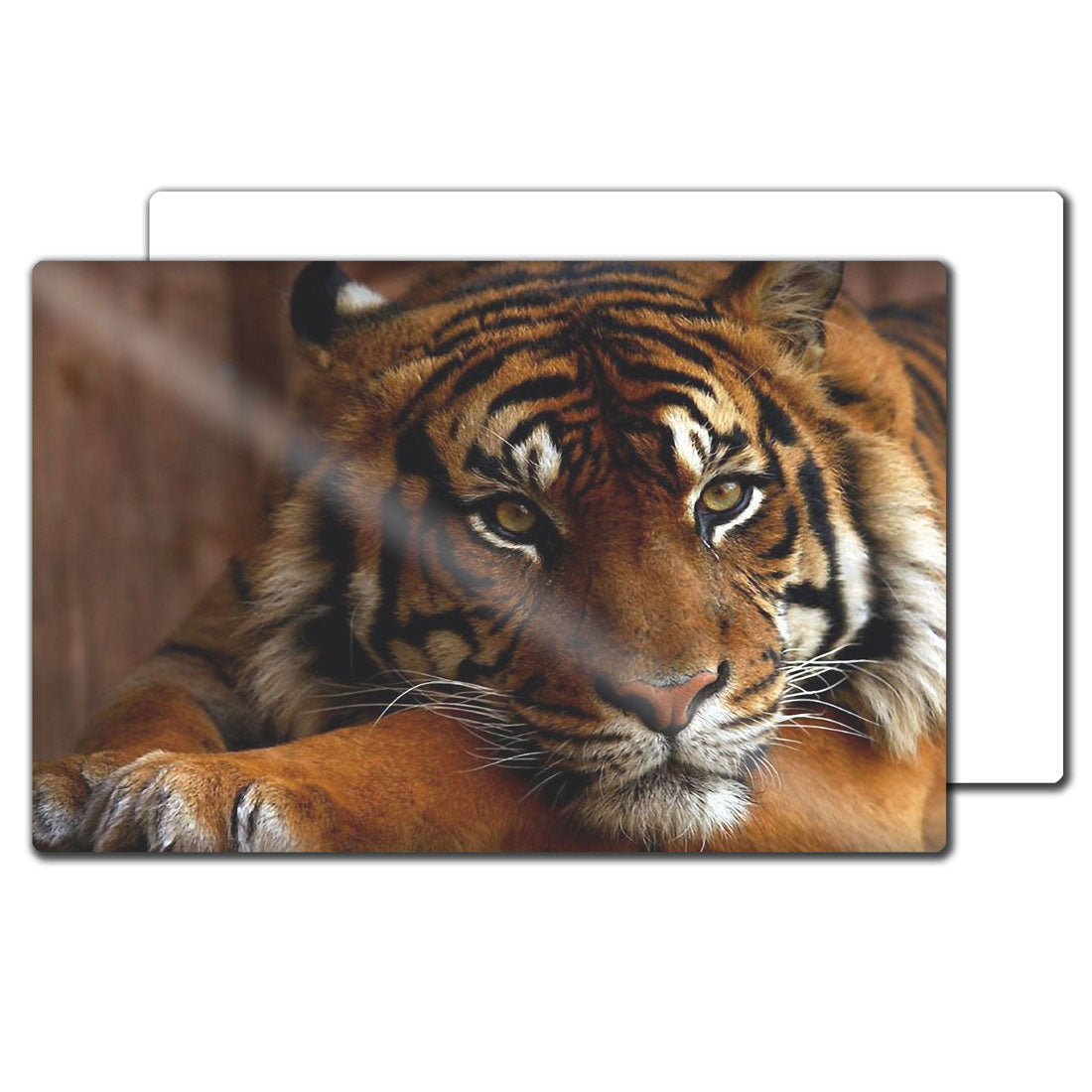 iLumipiX™ Sublimation HD Photo Panels - 24" x 36" - Pack of 10 - Joto Imaging Supplies Canada