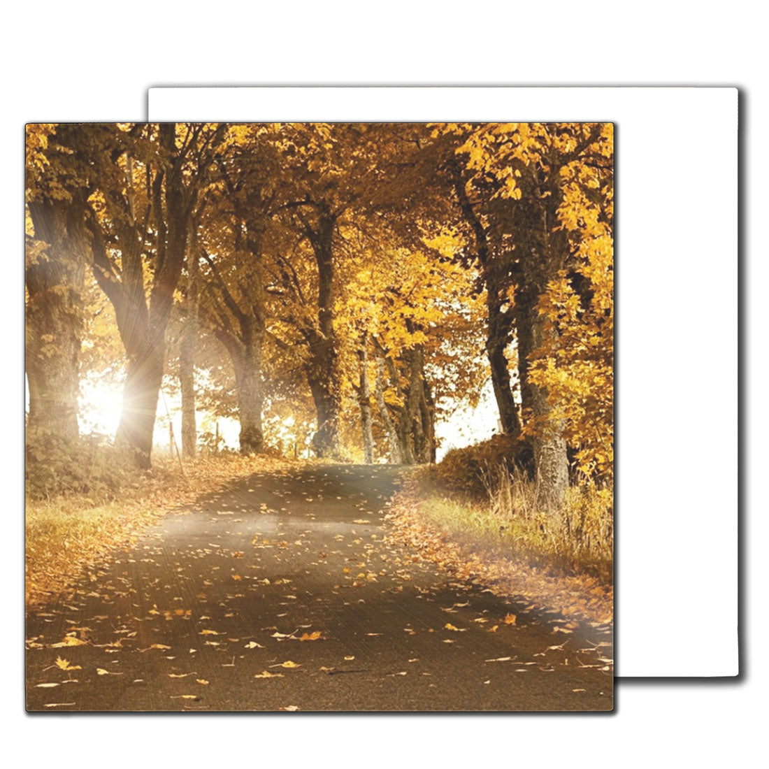 iLumipiX™ Sublimation HD Photo Panels - 8" x 8" - Pack of 10 - Joto Imaging Supplies Canada