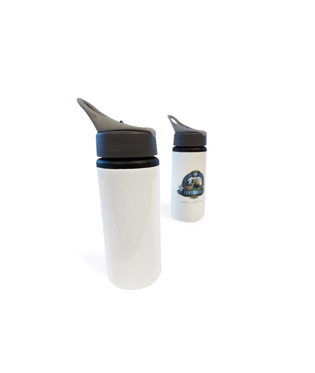 Pearl Coating™ 650ml Sublimation Aluminum Bottle with Straw - Pack of 6 - Joto Imaging Supplies Canada